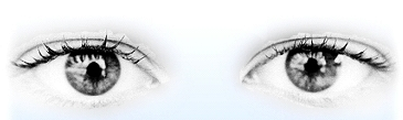 Metodo Bates-Torino. Educazione visiva, massaggi Bars, fiori di Bach, cromopuntura base, psych-k(R)